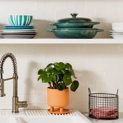 Best Sale ✔️ Le Creuset 3.5 Qt. Signature Braiser With Stainless Steel Knob | Artichaut ???? -Le Creuset Shop art